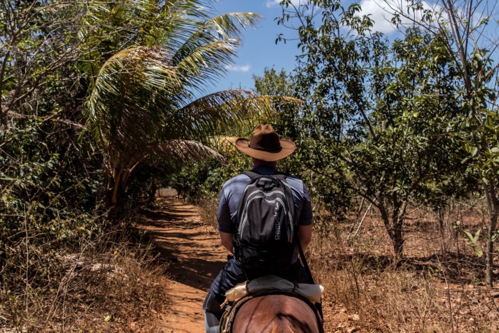 Vinales Cuba Horse Tour
