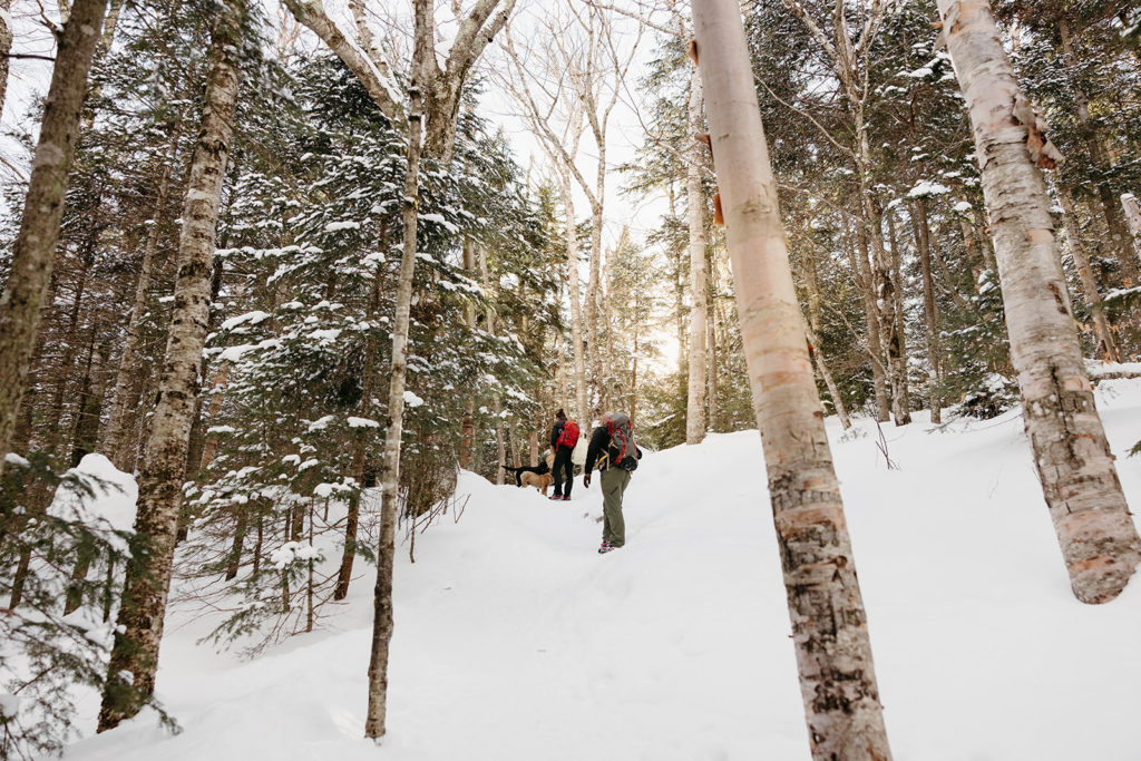 How to elope in the winter in New England