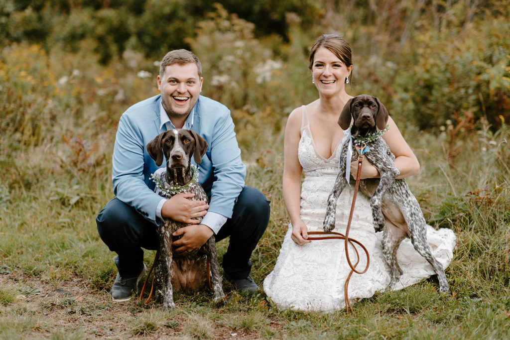 How to elope with dogs