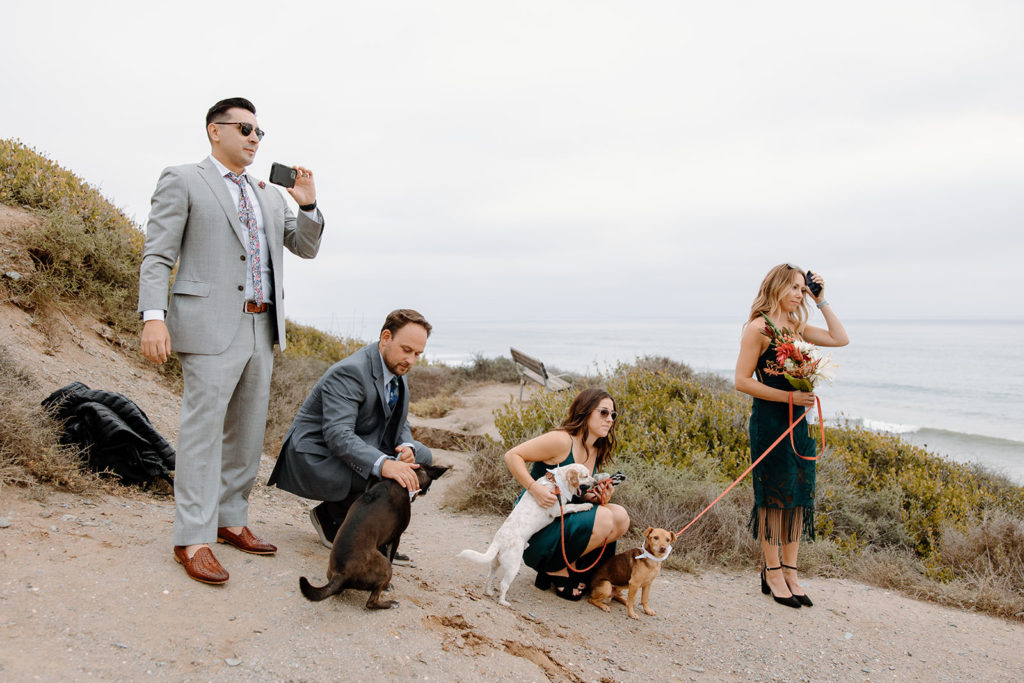How to elope with dogs. Eloping with pets photo