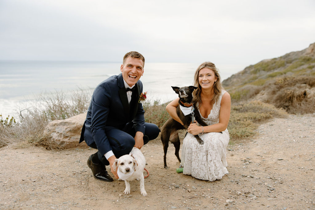 How to elope with dogs at your wedding