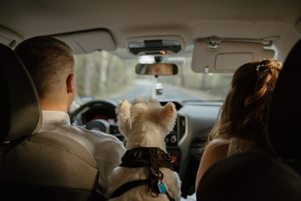 elopement couple driving to Acadia