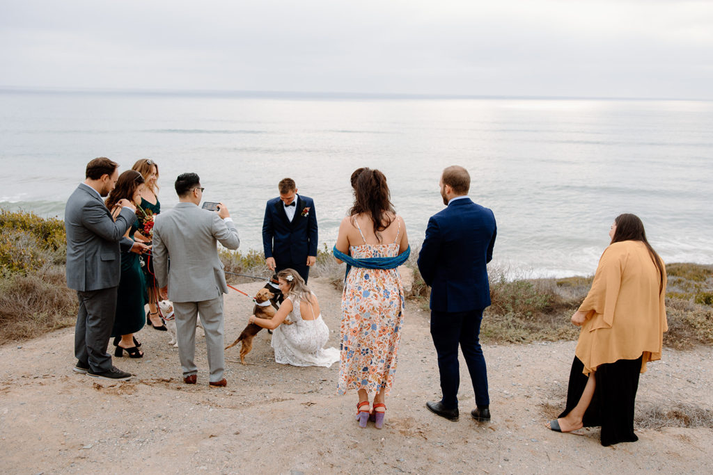 Elopement ceremony with dogs
