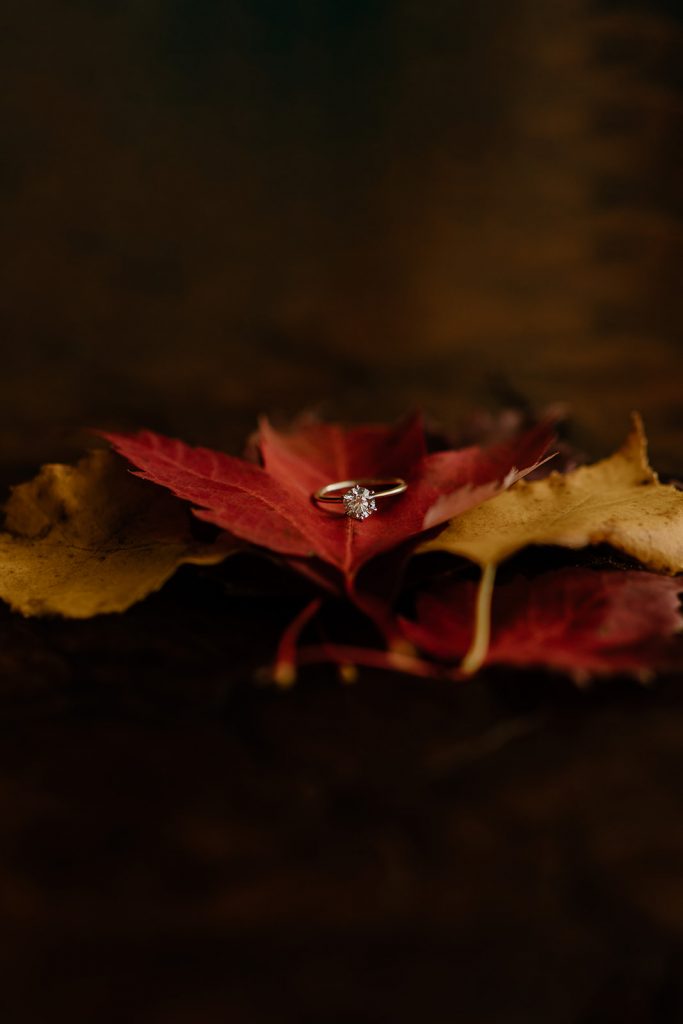 wedding ring on maple leaves