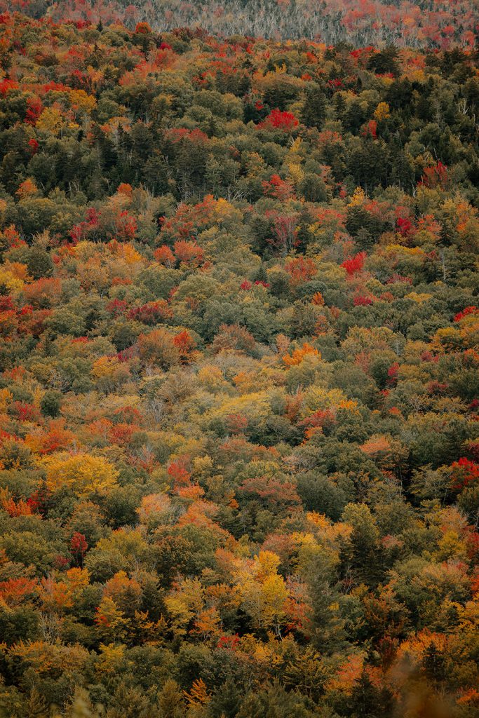 Fall New England photos